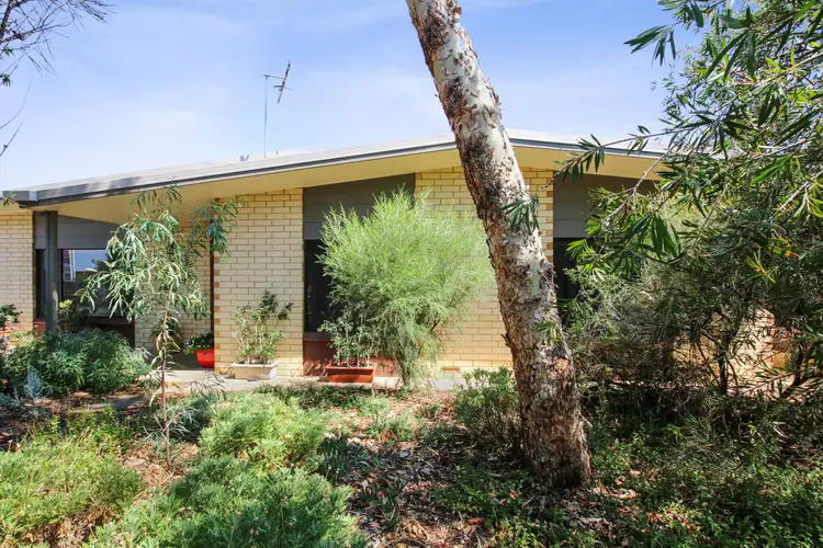3 Sandercock Street, Berri SA 5343