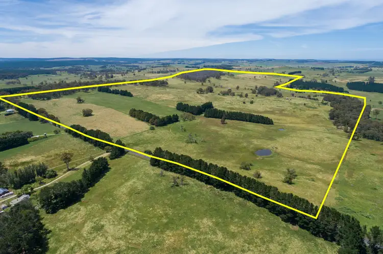 Main view of Homely rural property listing, 331 Dog Rocks Road, Black Springs NSW 2787