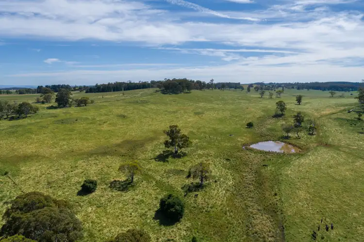 Second view of Homely rural property listing, 331 Dog Rocks Road, Black Springs NSW 2787