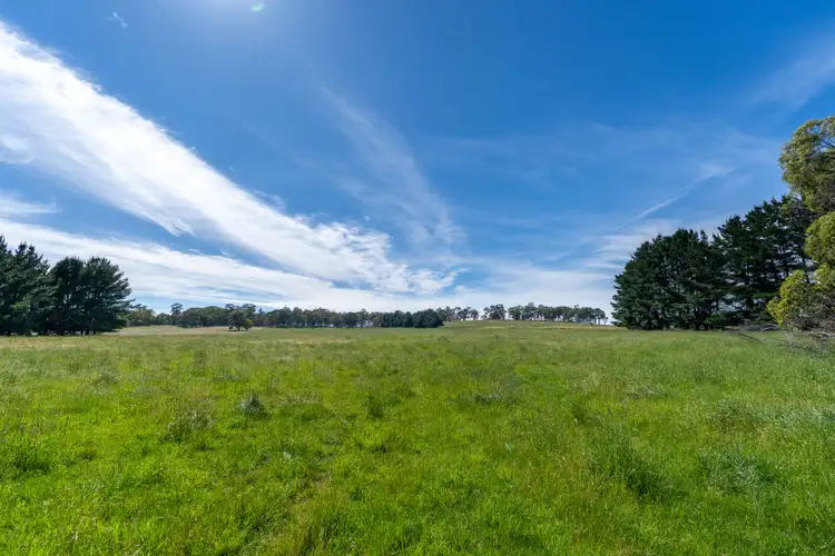 Third view of Homely rural property listing, 331 Dog Rocks Road, Black Springs NSW 2787