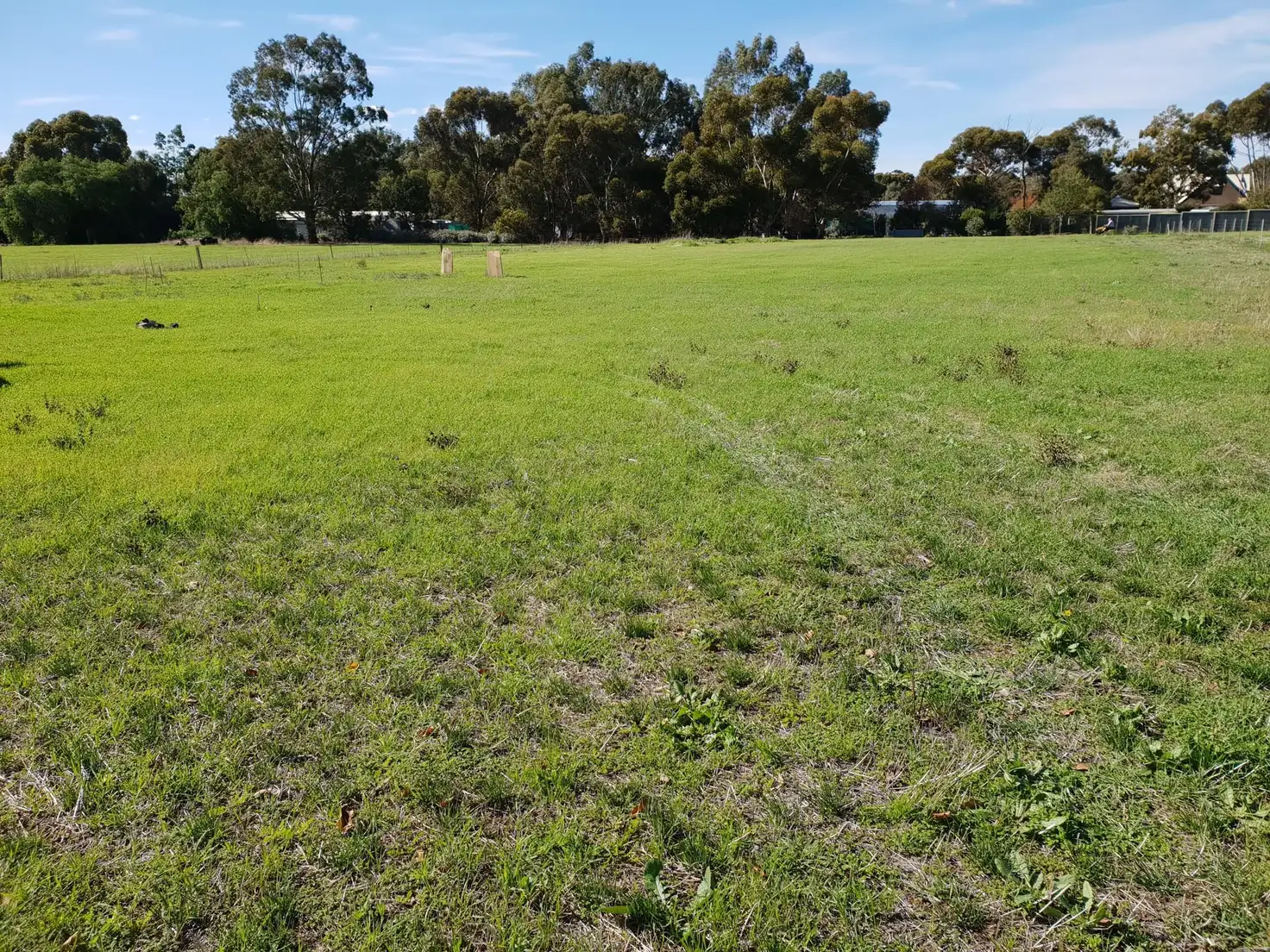 Main view of Homely land listing, 123 Saddleworth Road, Auburn SA 5451