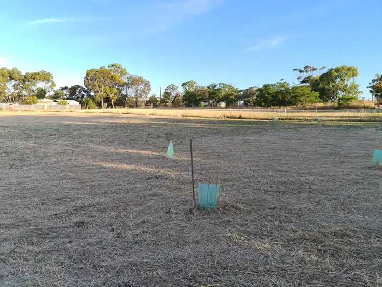 Second view of Homely land listing, 123 Saddleworth Road, Auburn SA 5451