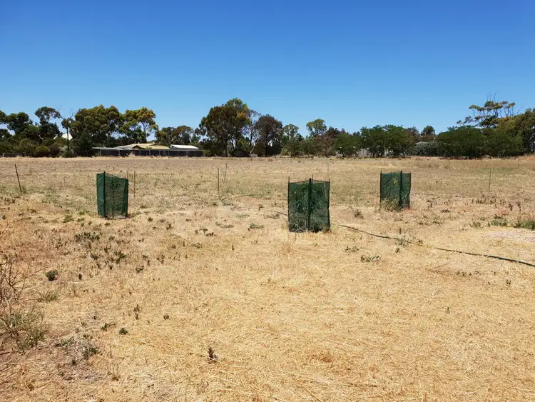 Third view of Homely land listing, 123 Saddleworth Road, Auburn SA 5451