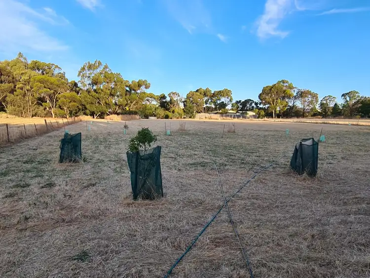 Fourth view of Homely land listing, 123 Saddleworth Road, Auburn SA 5451