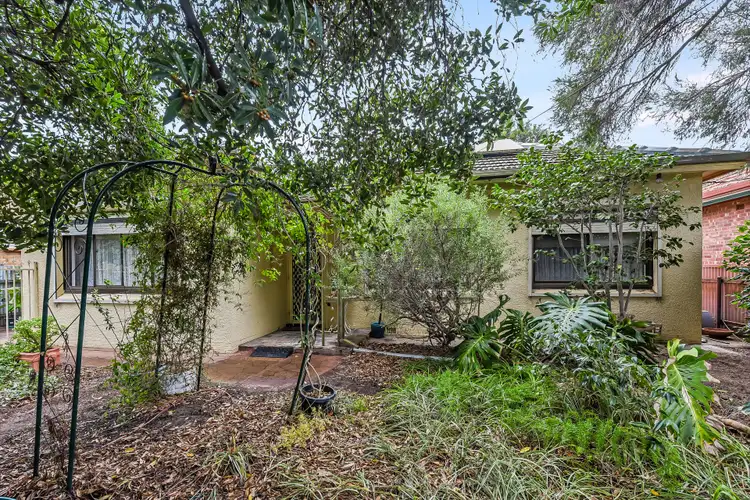 Second view of Homely house listing, 38 Flinders Street, Edwardstown SA 5039