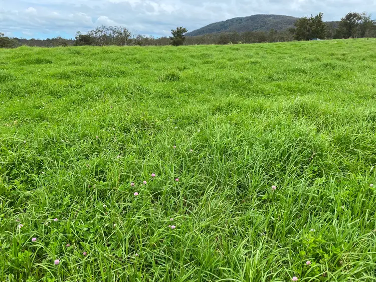 Seventh view of Homely rural property listing, Address available on request