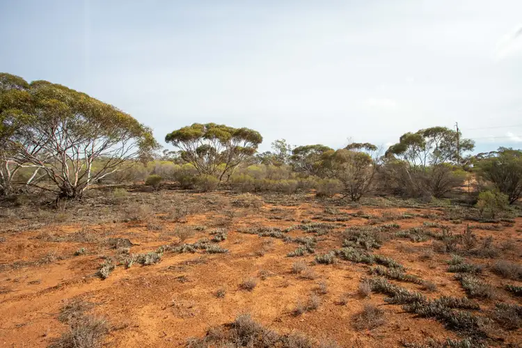 Main view of Homely land listing, LOT 957 Warnecke Road, Monash SA 5342