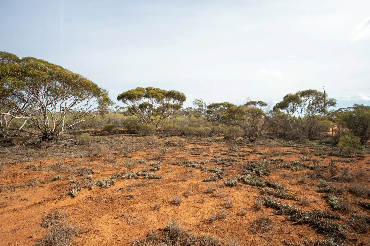 Main view of Homely land listing, LOT 957 Warnecke Road, Monash SA 5342