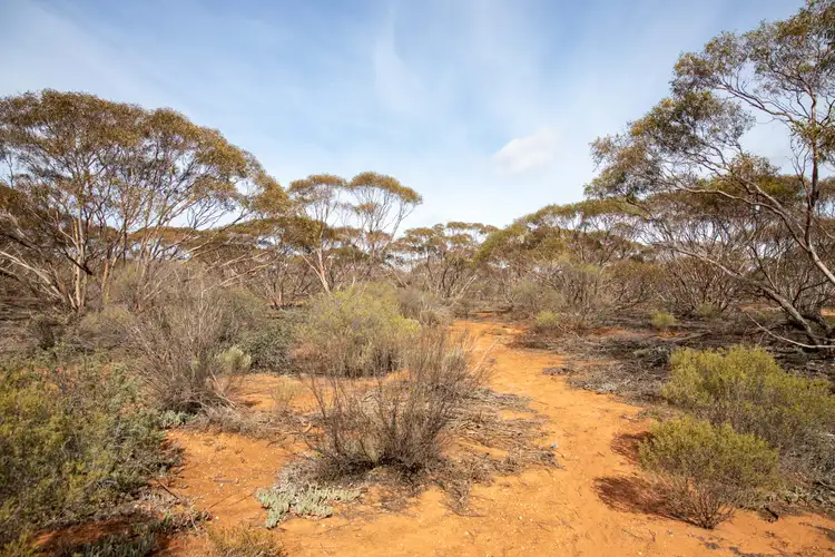 Second view of Homely land listing, LOT 957 Warnecke Road, Monash SA 5342