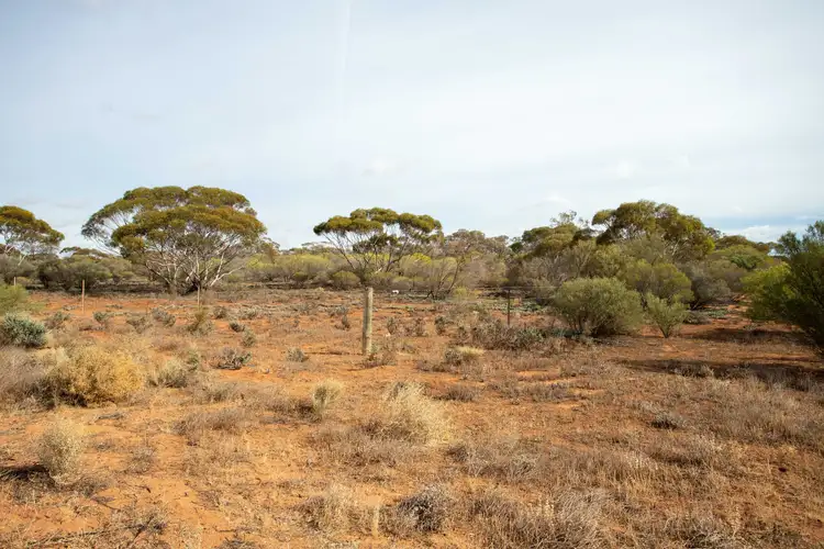 Third view of Homely land listing, LOT 957 Warnecke Road, Monash SA 5342