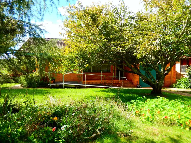 Main view of Homely house listing, 22 Kurrajong Street, Dorrigo NSW 2453