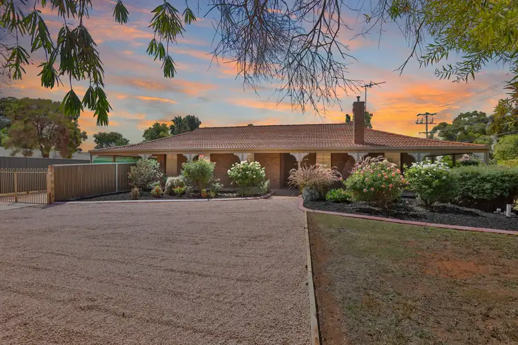 Main view of Homely house listing, 439 Walnut Avenue, Mildura VIC 3500