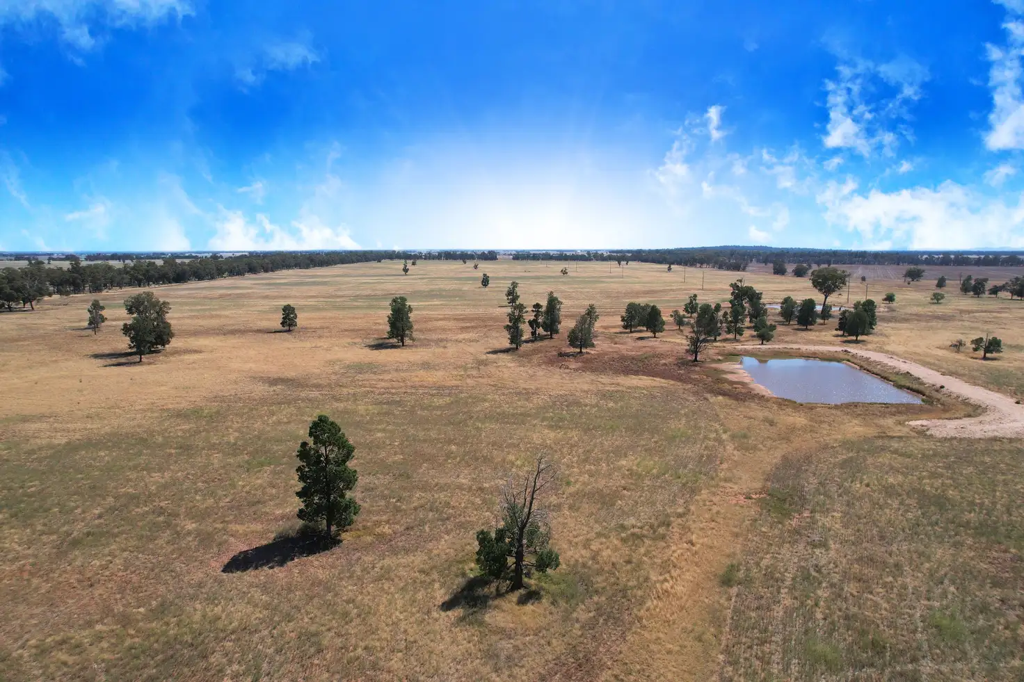 Main view of Homely rural property listing, 5008 Goldfields Way, Barmedman NSW 2668