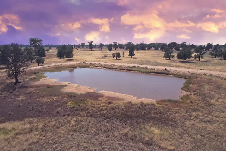 Second view of Homely rural property listing, 5008 Goldfields Way, Barmedman NSW 2668