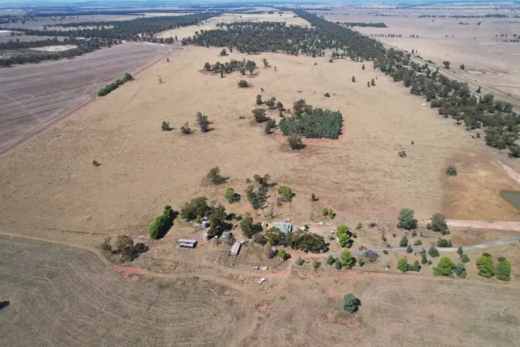 Fourth view of Homely rural property listing, 5008 Goldfields Way, Barmedman NSW 2668