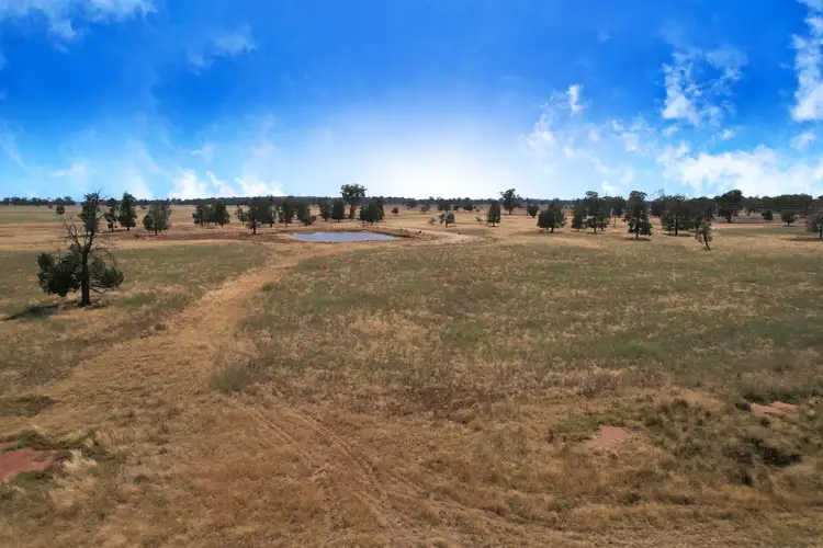Fifth view of Homely rural property listing, 5008 Goldfields Way, Barmedman NSW 2668