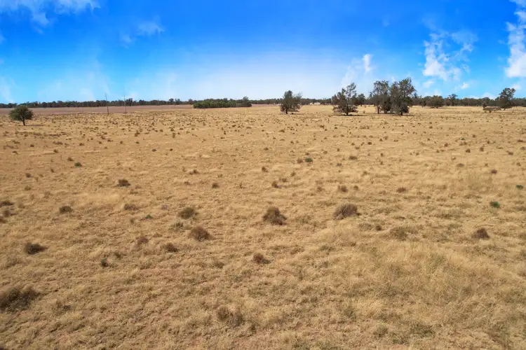 Sixth view of Homely rural property listing, 5008 Goldfields Way, Barmedman NSW 2668