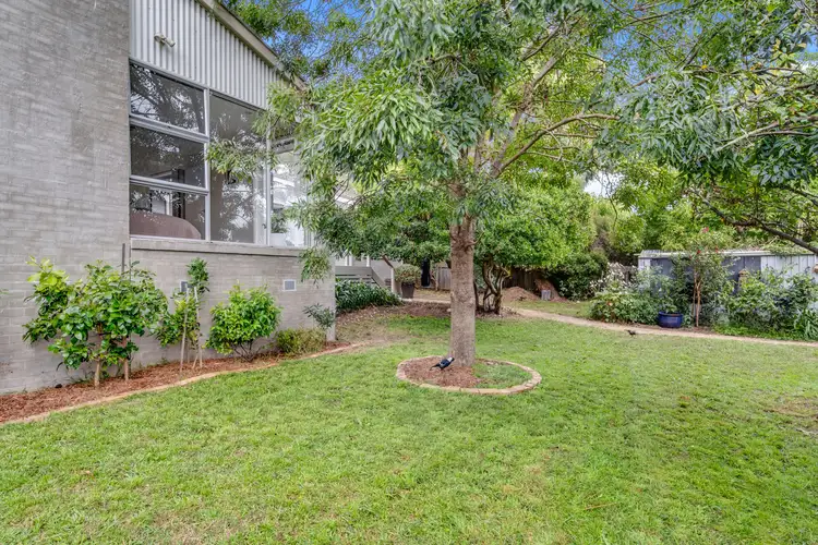 Second view of Homely house listing, 53 Lyttleton Crescent, Cook ACT 2614