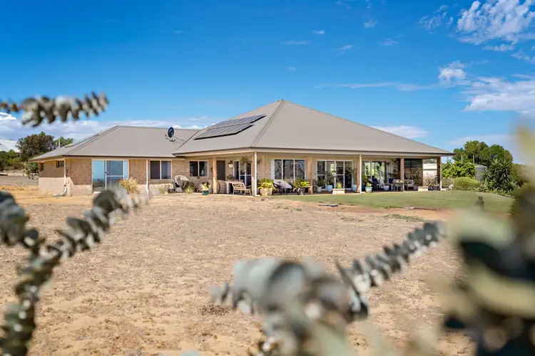 18 Dolbys Drive, Waggrakine WA 6530