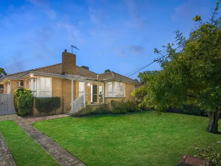 19 Torquay Avenue, Chadstone VIC 3148