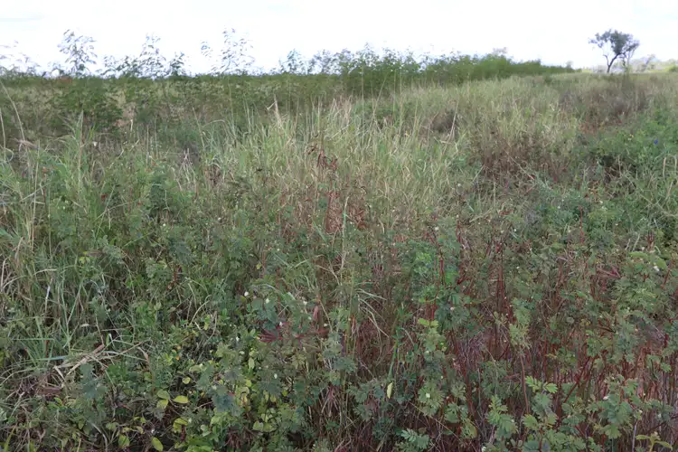 Seventh view of Homely rural property listing, "WYNDAMERE" OLINDA Road, Kokotungo QLD 4702