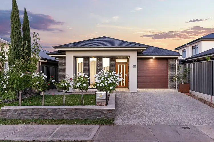 20 Lines Street, Enfield SA 5085