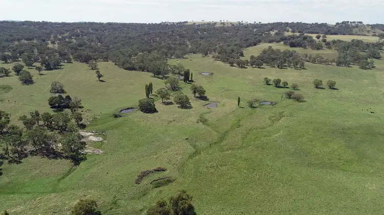 311 Pitlochry Road, Matheson NSW 2370