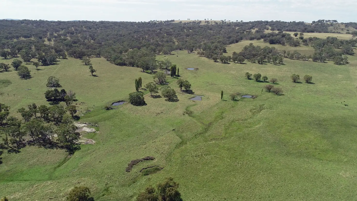 Main view of Homely rural property listing, 311 Pitlochry Road, Matheson NSW 2370