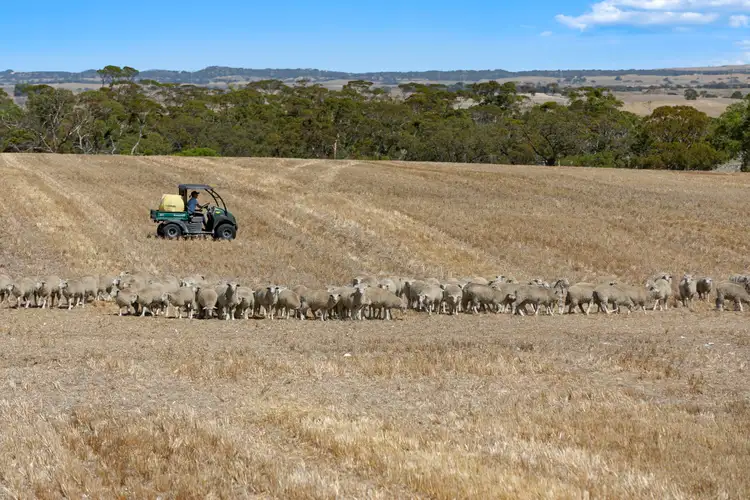 Main view of Homely rural property listing, 'Greenhills' Gypsum Road, Cooke Plains SA 5261