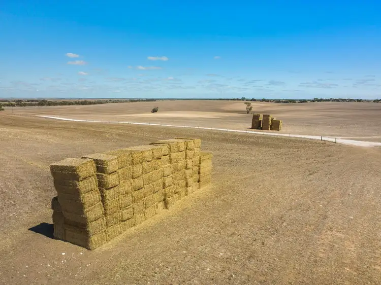 Second view of Homely rural property listing, 'Greenhills' Gypsum Road, Cooke Plains SA 5261
