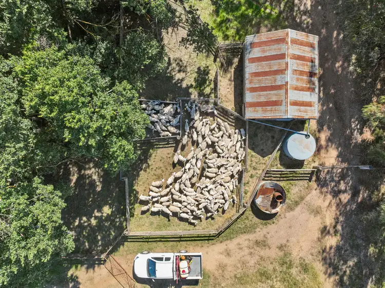 Fourth view of Homely rural property listing, 'Ferndale' 192 Rock Lodge Road, Gunning NSW 2581