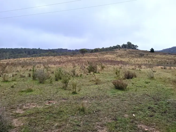 Seventh view of Homely rural property listing, 3364 Cooma Road, Krawarree NSW 2622