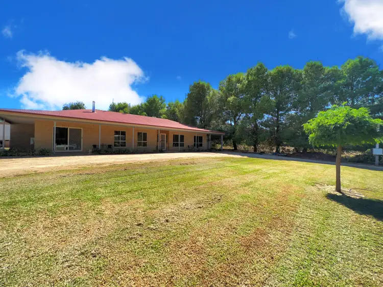 6 Windsor Street, Forbes NSW 2871