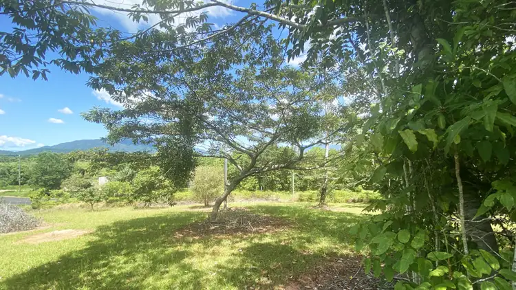 Sixth view of Homely land listing, Lot 8 East Feluga Road, East Feluga QLD 4854