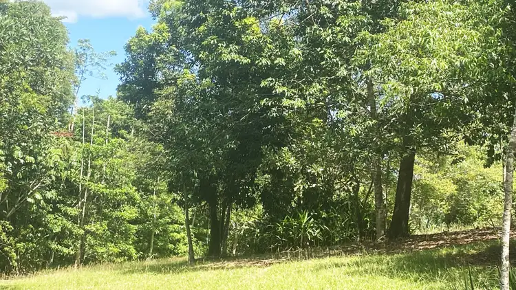 Seventh view of Homely land listing, Lot 8 East Feluga Road, East Feluga QLD 4854