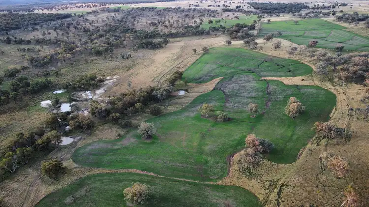 Second view of Homely rural property listing, "Harwood"/472 Karoola Road, Inverell NSW 2360