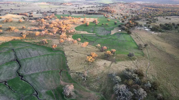 Third view of Homely rural property listing, "Harwood"/472 Karoola Road, Inverell NSW 2360