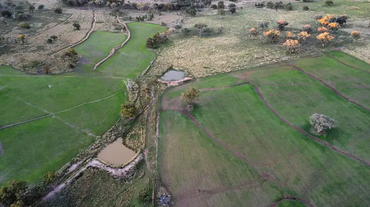 Fourth view of Homely rural property listing, "Harwood"/472 Karoola Road, Inverell NSW 2360
