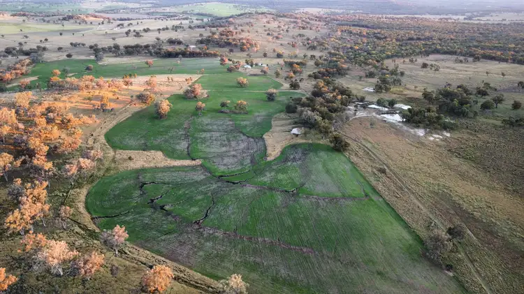 Fifth view of Homely rural property listing, "Harwood"/472 Karoola Road, Inverell NSW 2360