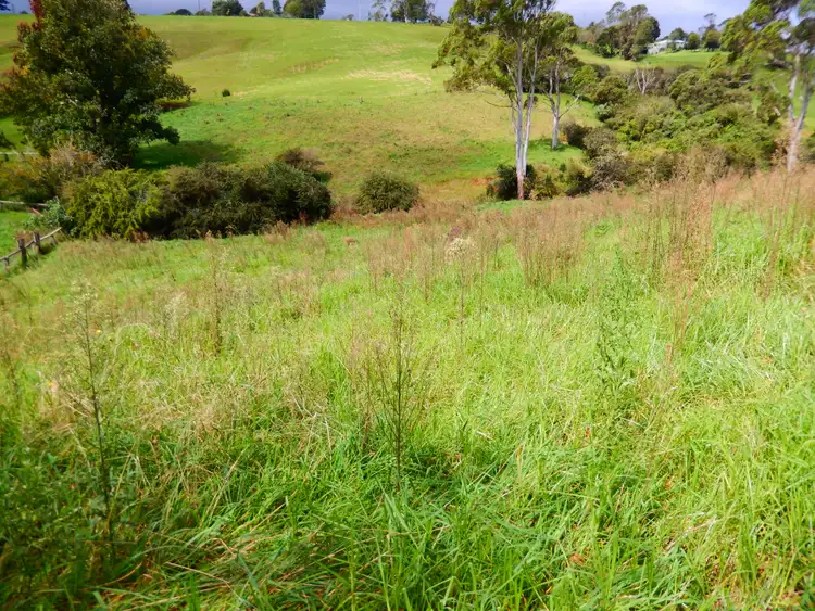 Second view of Homely land listing, LOT Lot 843, 30 Kurrajong Street, Dorrigo NSW 2453
