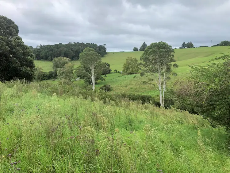 Third view of Homely land listing, LOT Lot 843, 30 Kurrajong Street, Dorrigo NSW 2453