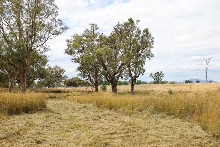 Sixth view of Homely rural property listing, 'Bluegrass' Kia Ora Lane, Tamworth NSW 2340
