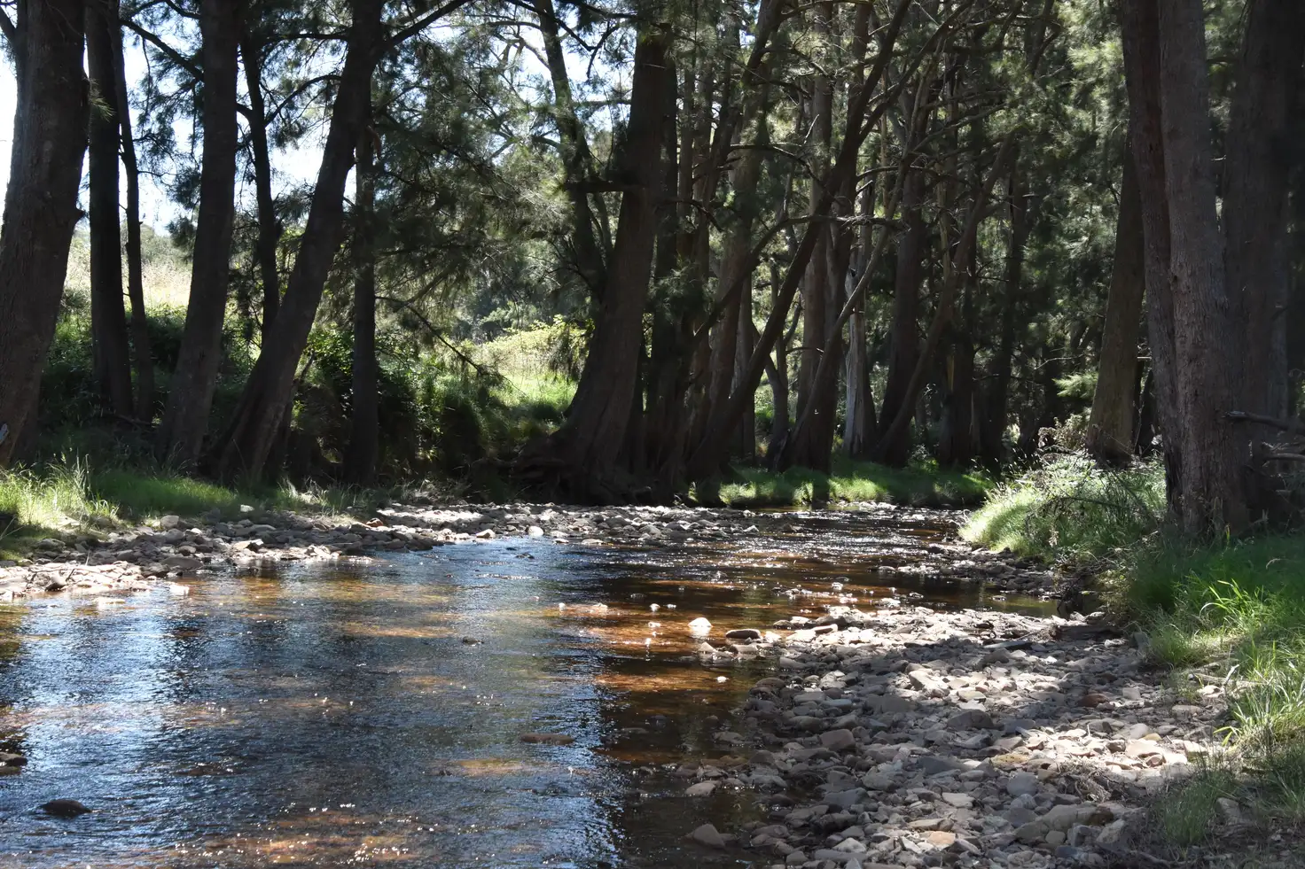 Main view of Homely rural property listing, 399 Clear Creek Road, Clear Creek NSW 2795