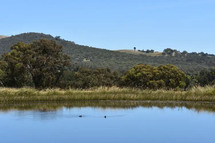 Fourth view of Homely rural property listing, 399 Clear Creek Road, Clear Creek NSW 2795