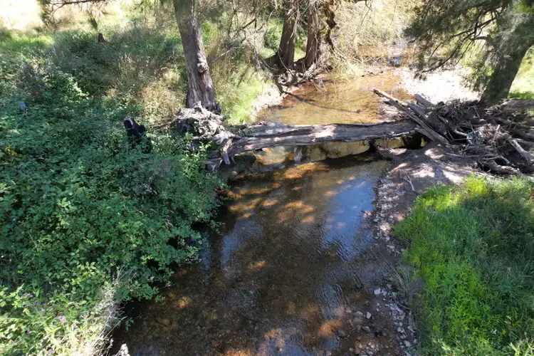 Seventh view of Homely rural property listing, 399 Clear Creek Road, Clear Creek NSW 2795