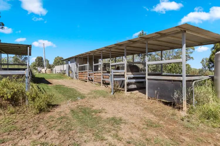 Sixth view of Homely rural property listing, 755 Munbilla Road, Munbilla QLD 4309