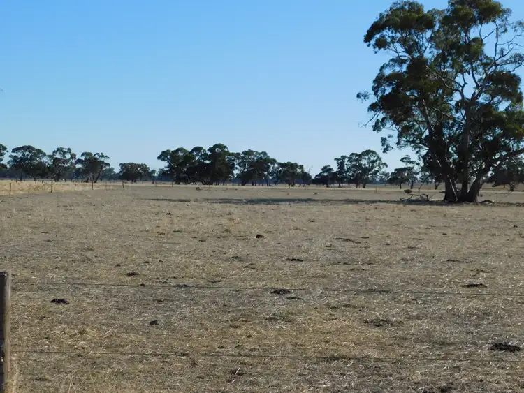 Third view of Homely rural property listing, 1878 Cannawigara Road, Bordertown SA 5268