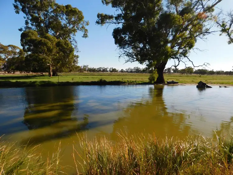 Fourth view of Homely rural property listing, 1878 Cannawigara Road, Bordertown SA 5268