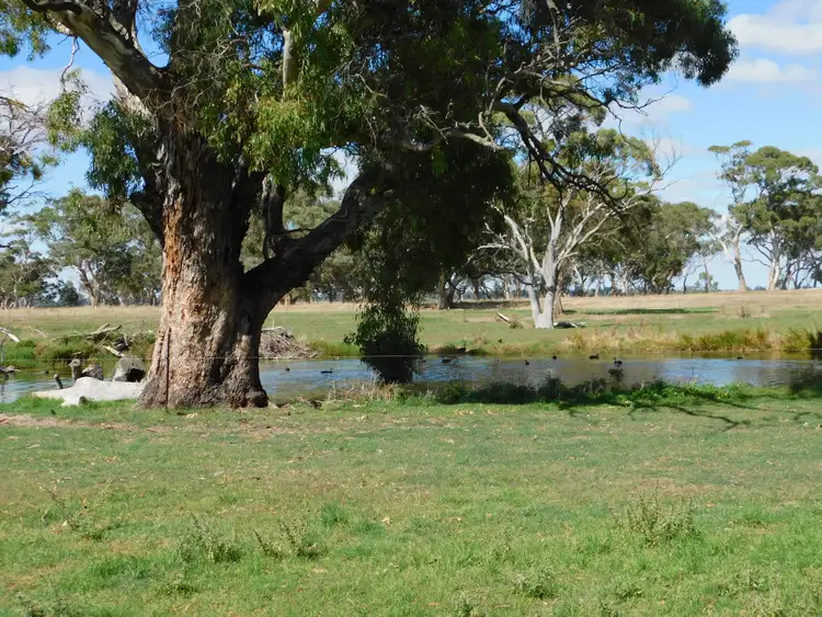 Fifth view of Homely rural property listing, 1878 Cannawigara Road, Bordertown SA 5268