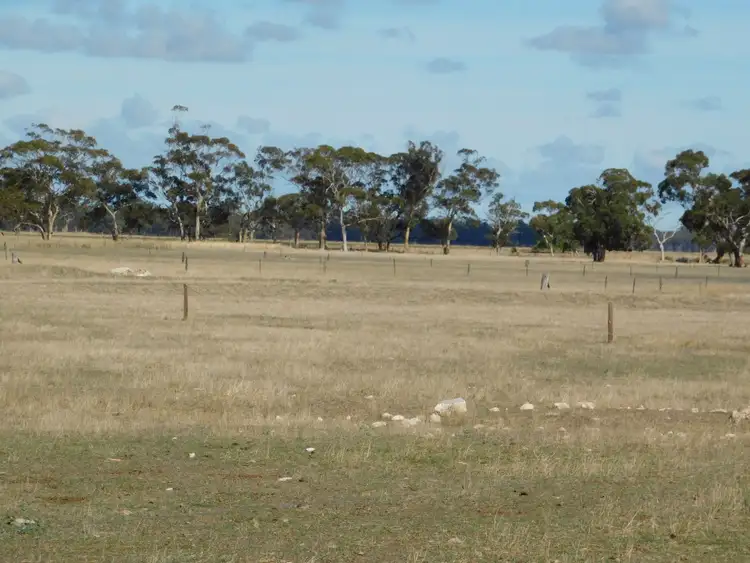 Sixth view of Homely rural property listing, 1878 Cannawigara Road, Bordertown SA 5268